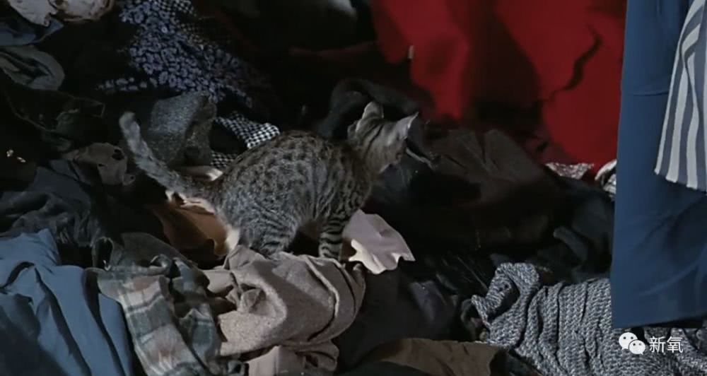 xingkong体育官网登录