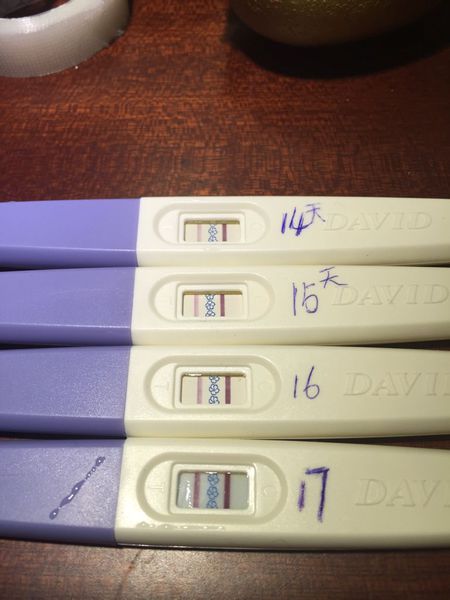 xingkong体育官网登录