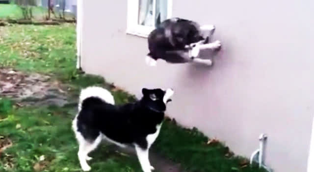 
皇马巴萨争冠？今年的西甲冠军属于苏亚雷斯 马竞的新比利亚-xingkong.com(图2)