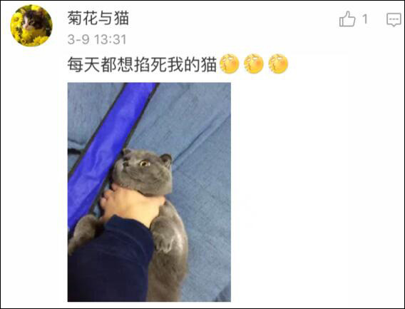 ‘星空体育官网’
伦纳德和东契奇 季后赛上的明星 你pick谁