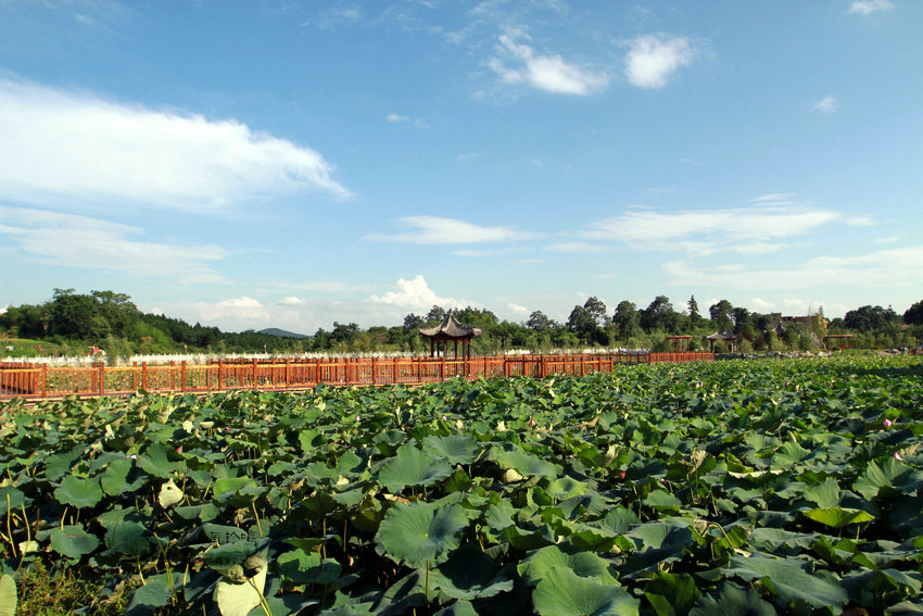 ‘xingkong体育官网登录’口红自由,插花自由,发朋侪圈自由,你实现了吗?(图1) ‘xingkong体育官网登录’口红自由,插花自由,发朋侪圈自由,你实现了吗?(图1)