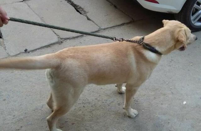 xingkong体育官网登录