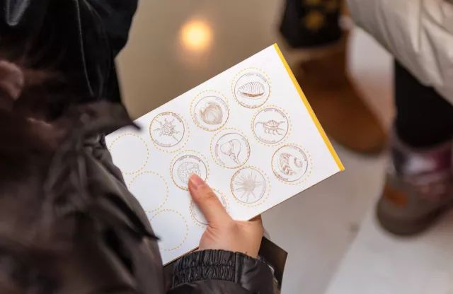 “xingkong.com”2018上海市杨浦实验学校小升初招生简章-上海小升初(图1)