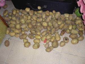 xingkong体育官网登录