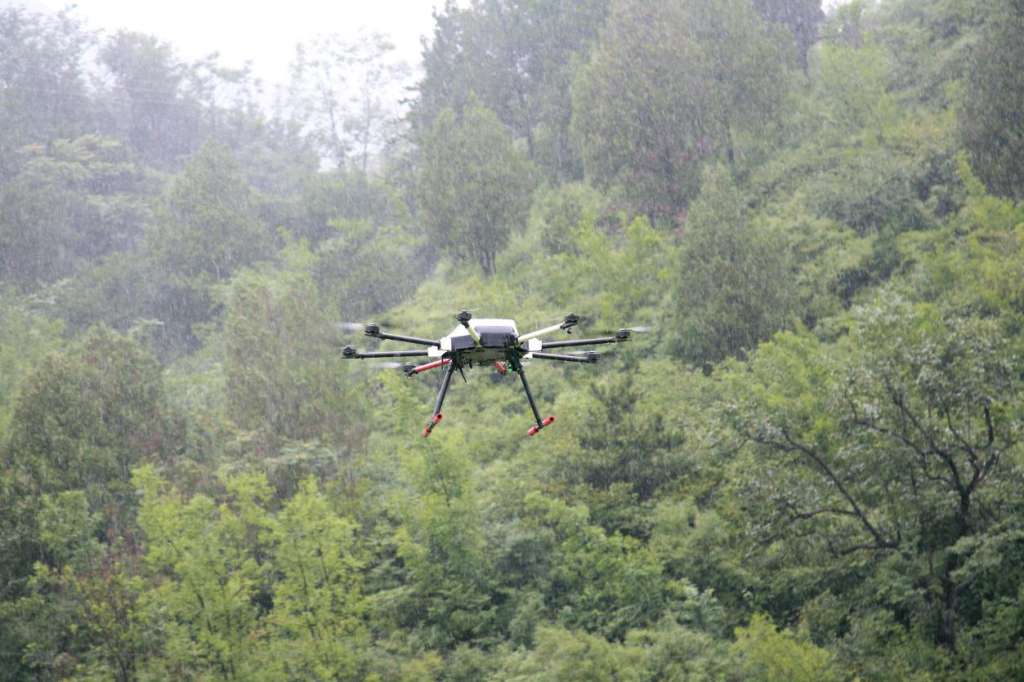 由捕鸠鸟演变而来的古越敬老赠杖作者:未知2014-10-1115:18:53来源:收藏快报 青铜鸠杖于1990年在绍兴“xingkong.com”(图3) 星空体育官网