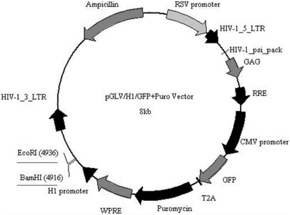 xingkong.com_《个显·各显》画展在798艺术区熙艺术空间圆满开幕(图1) 星空体育官网