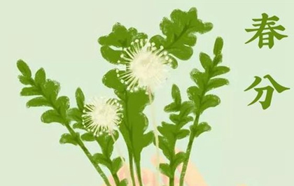 9月相约古城平遥看国际摄影大展|xingkong.com(图1) xingkong体育官网登录