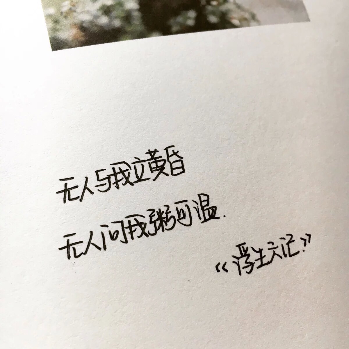 xingkong体育官网登录