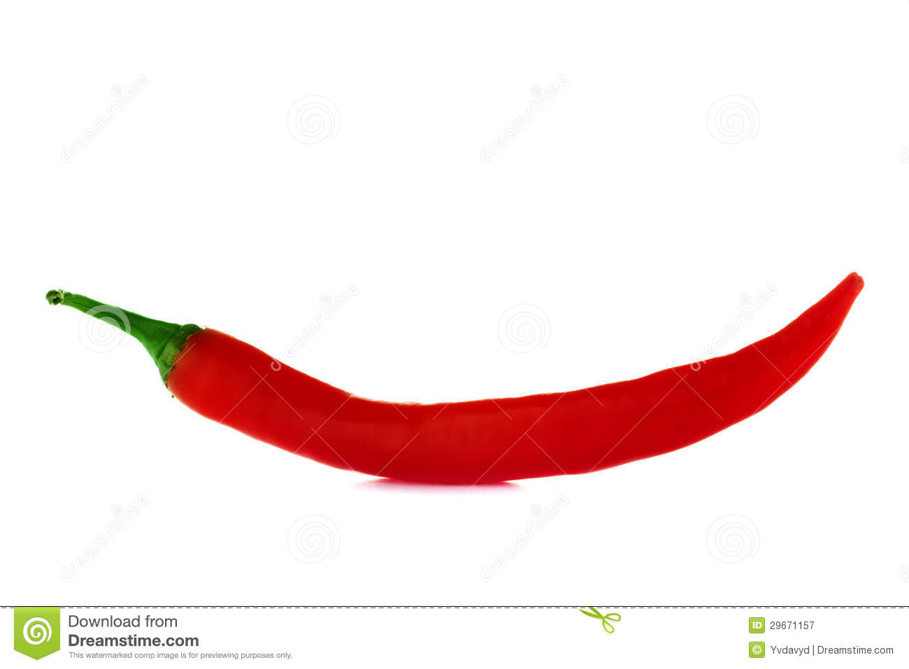 xingkong.com:2020黄浦区小升初政策-上海小升初(图1) 星空官网登录