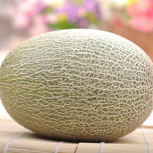 ‘星空官网登录’马竞迎欧联杯第300战 里斯本内忧外患 格里兹曼盼再建功(图2) ‘星空官网登录’马竞迎欧联杯第300战 里斯本内忧外患 格里兹曼盼再建功(图2)