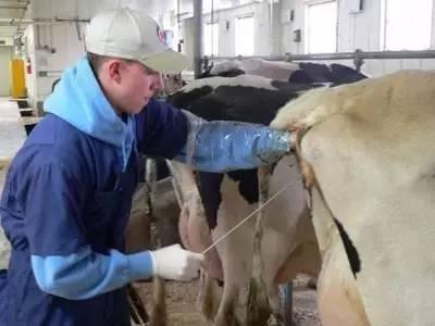 ‘星空官网登录’马竞迎欧联杯第300战 里斯本内忧外患 格里兹曼盼再建功(图1) 星空体育官网