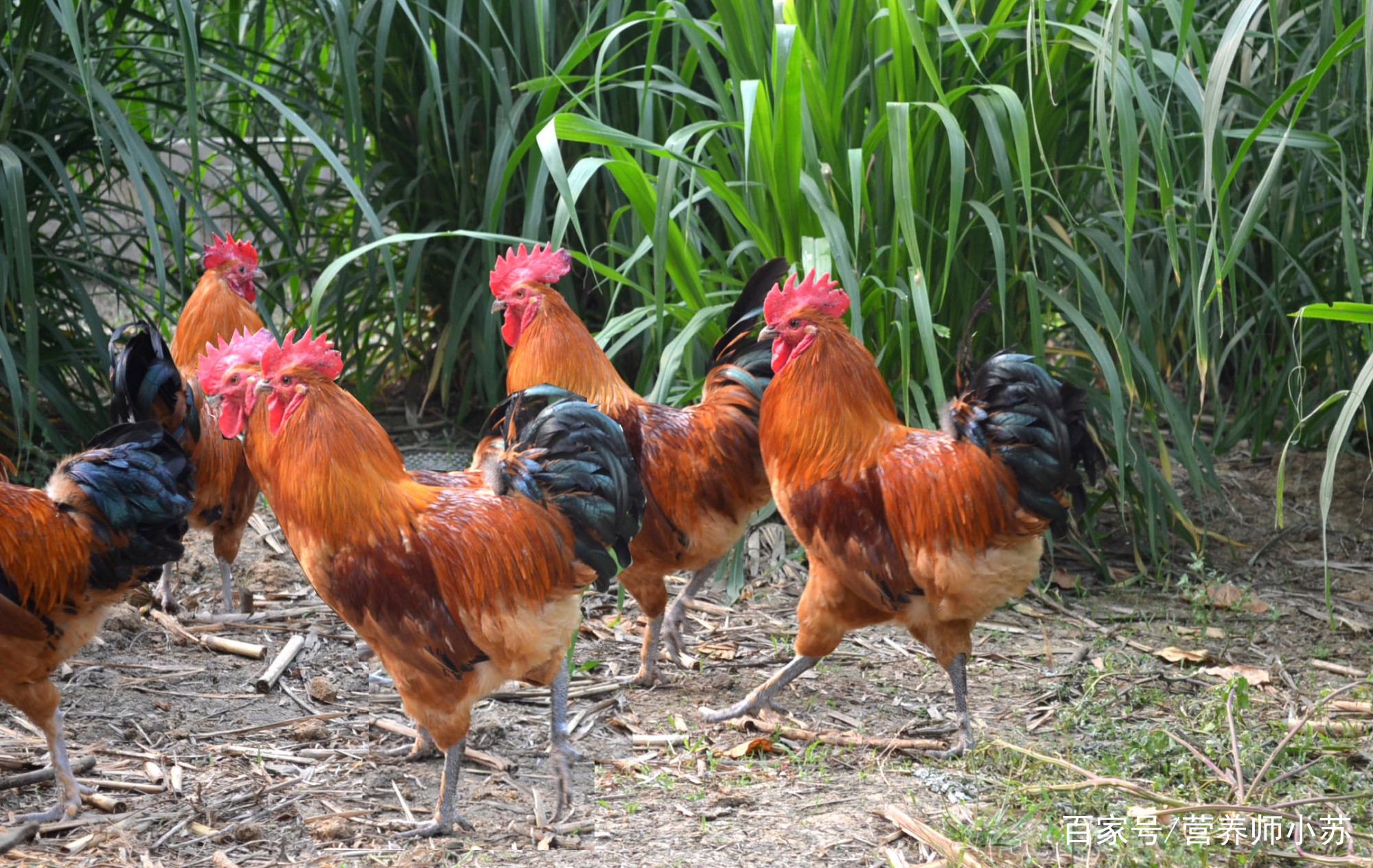 【星空官网登录】皇马欧冠英雄最后的笑容!已与队友告别 飞巴黎体检(图1)