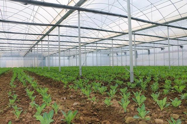 2014首师大二附中小升初招生简章‘星空官网登录’(图3)