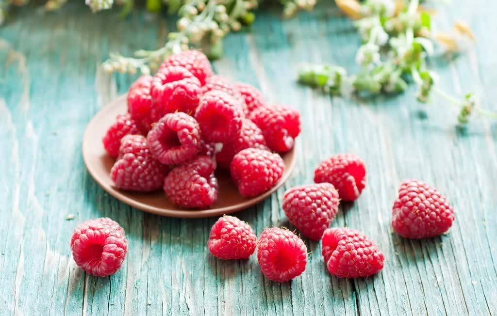 xingkong.com-淅川一小在“责任田”里开展“劳动实践促成长”主题教育活动(图4) 星空官网登录