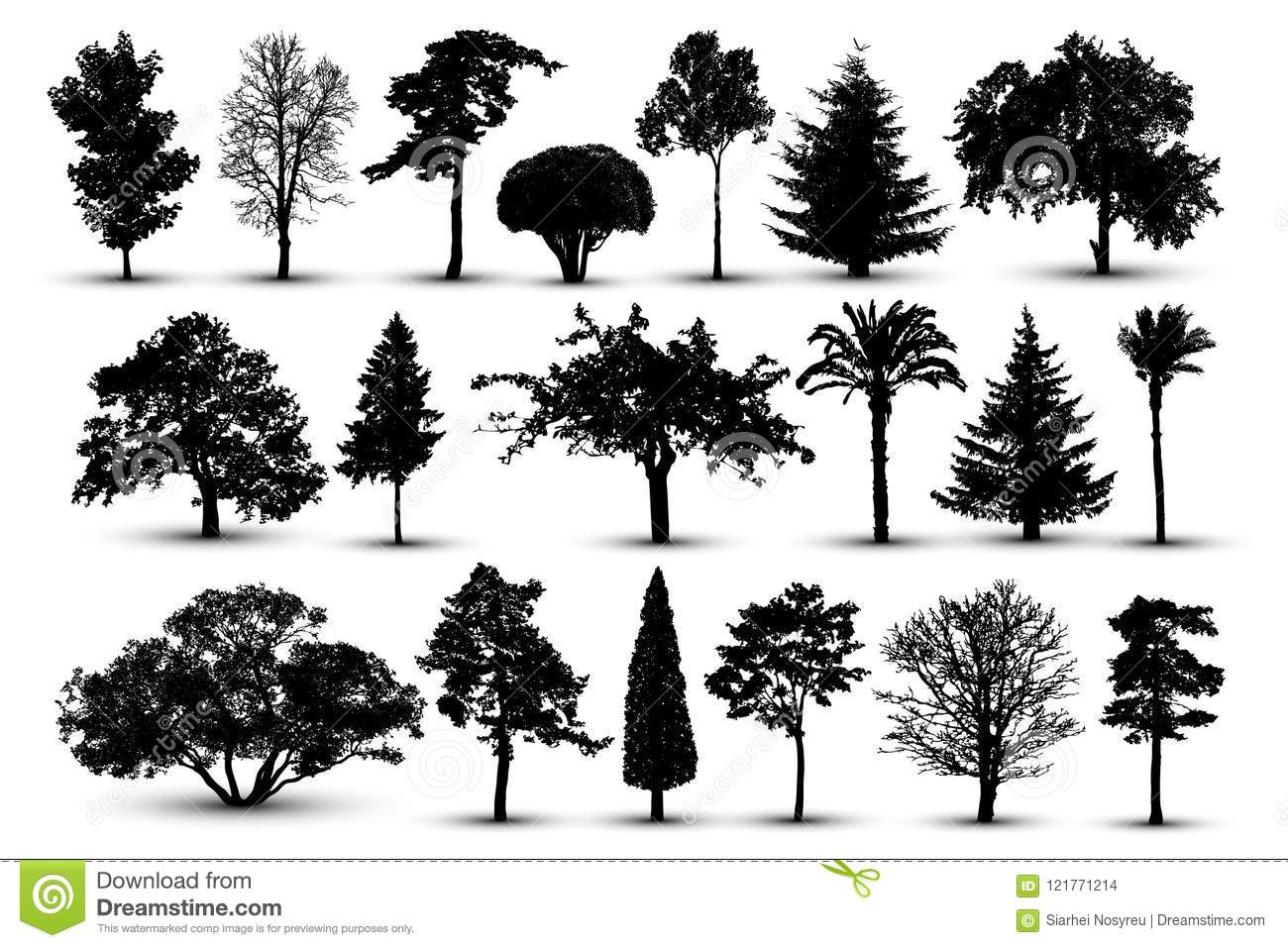 唐河县古城乡井楼回民小学组织亲子“同学习、共成长”学习活动:xingkong体育官网登录(图3) xingkong体育官网登录