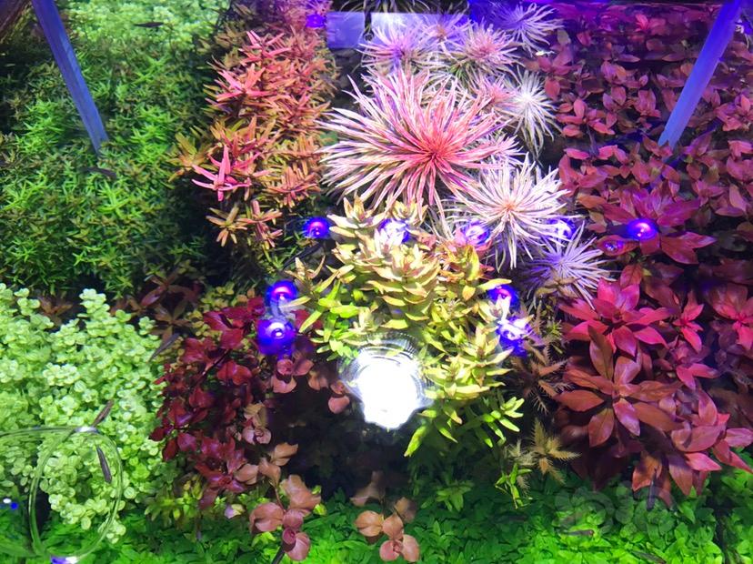 【星空体育官网】
中国拟在著作权法中扩大“作品”领域 不限于“文学、艺术和科学领域”