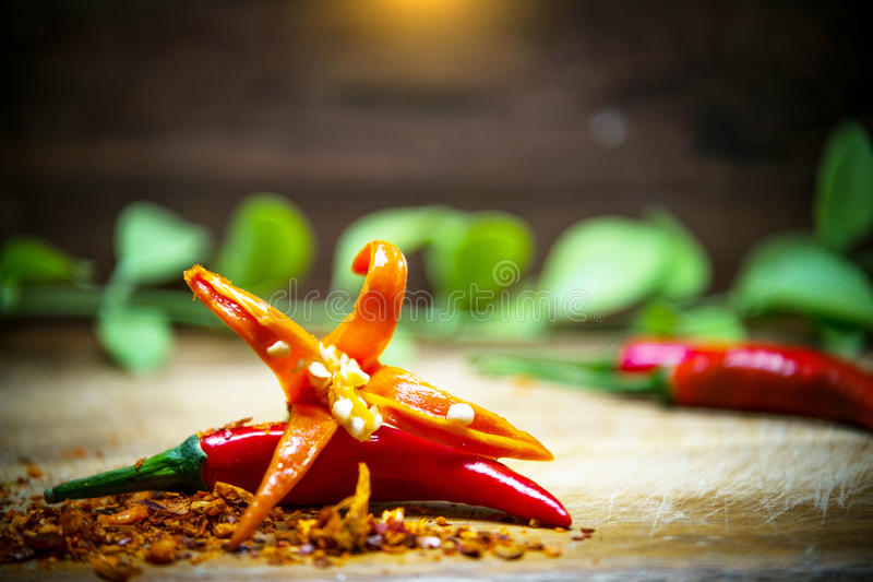 星空官网登录-2016电子科技大学实验中学网上报名-成都小升初(图1) xingkong体育官网登录