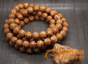 2016金牛实验中学四年制初中招生简章-成都小升初【xingkong体育官网登录】(图1) 星空体育官网