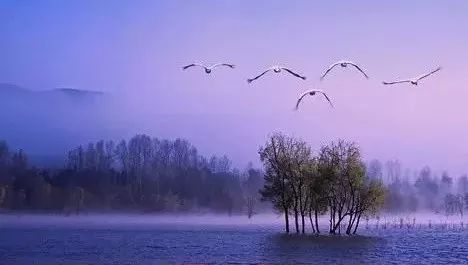 星空体育官网-身价涨千倍钱币收藏内有乾坤(图4) 星空官网登录