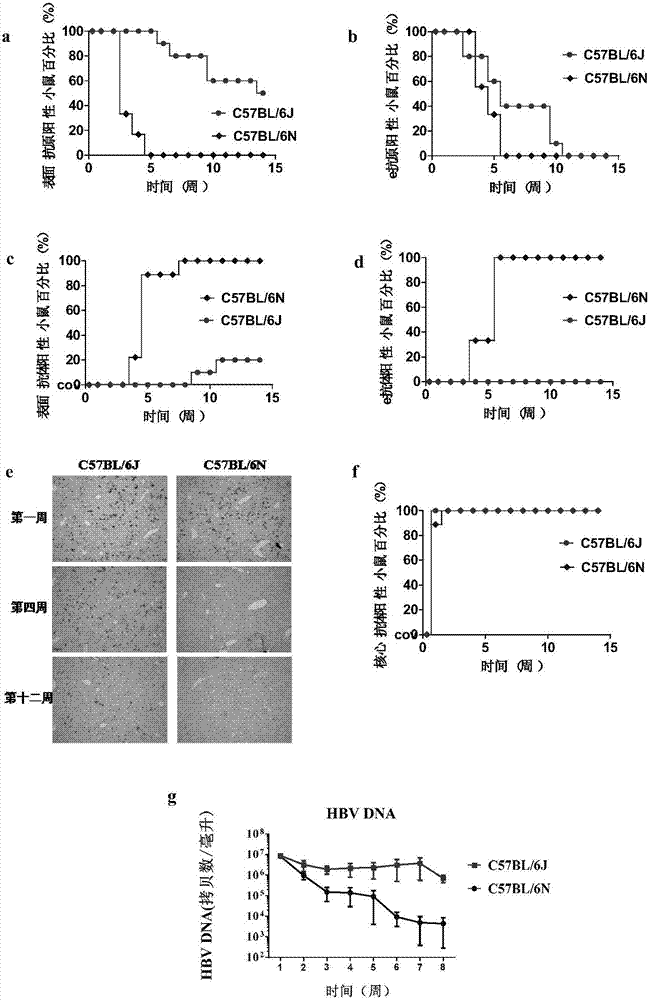 淅川一小:召开家庭教育联谊会,呵护幼苗茁壮成长!-星空官网登录(图1) 星空体育官网