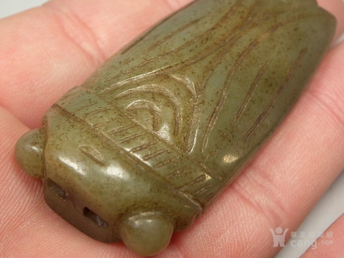 内乡县夏馆中心小学开展教育扶贫冬季大家访活动-星空官网登录(图1) 内乡县夏馆中心小学开展教育扶贫冬季大家访活动-星空官网登录(图1)