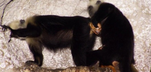 有天有地！有园有景！圆你一个“住在公园里”的梦-xingkong体育官网登录(图2)