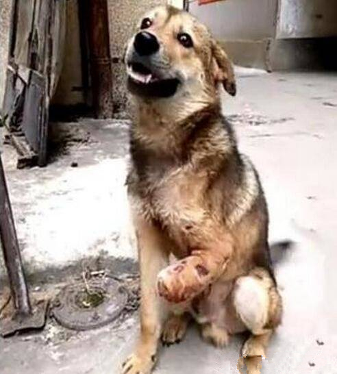 梅西86球详解:独中五元+6次戴帽曾20次梅开二度‘星空官网登录’(图1) 梅西86球详解:独中五元+6次戴帽曾20次梅开二度‘星空官网登录’(图1)