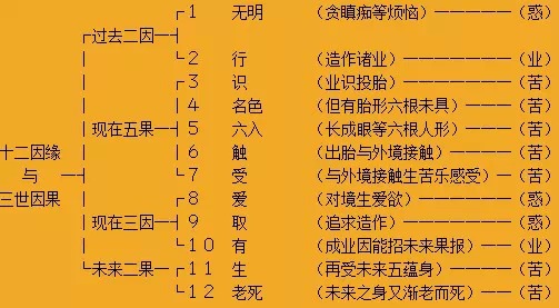 xingkong体育官网登录