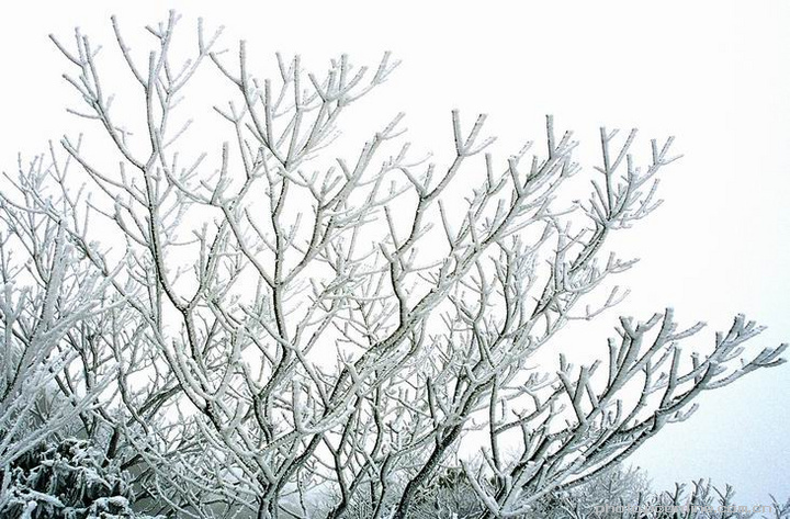 ‘星空官网登录’西班牙人官方：主帅马钦下课 多名技术人员停职(图1)