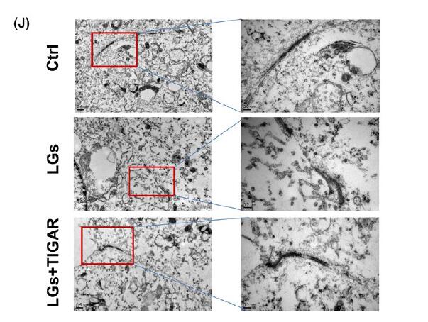 缺乏尊重?巴托梅乌:跟巴尔韦德谈过好几次 他对下课毫不惊讶:星空体育官网(图3) xingkong体育官网登录