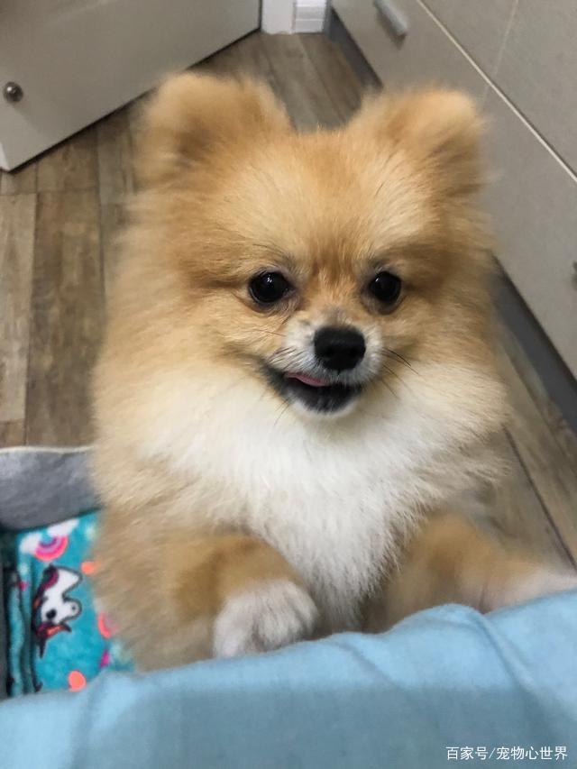 【xingkong体育官网登录】温度与章法(图1)