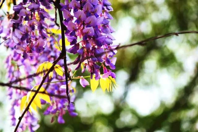 违规却不用受罚?皇马00后新星享特殊优待 成下一个厄德高?-星空体育官网(图1) xingkong体育官网登录