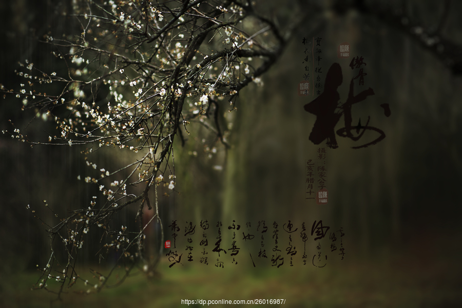 xingkong体育官网登录-2016深圳中学小升初政策-深圳小升初(图2)