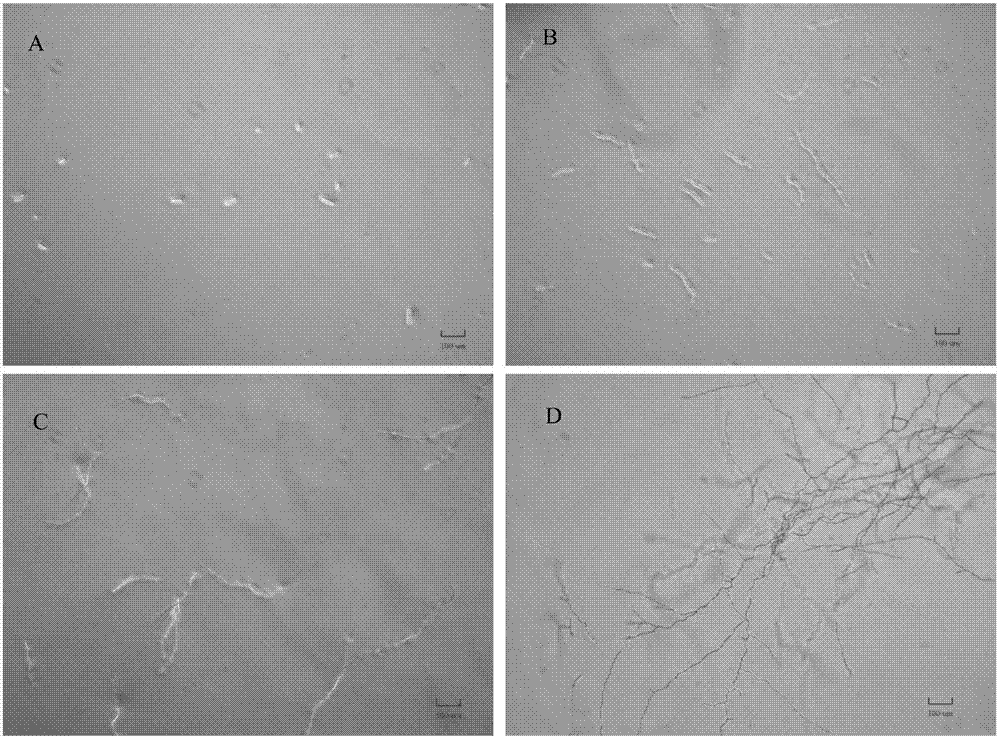 “星空体育官网”牛娃家长讲述海淀外国语考试内容,还原面试(图2) “星空体育官网”牛娃家长讲述海淀外国语考试内容,还原面试(图2)