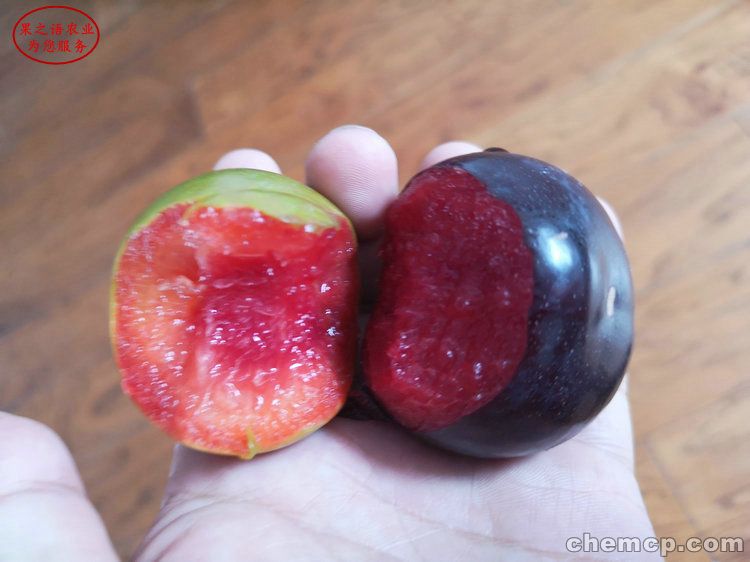 【xingkong体育官网登录】纳瓦斯:我面前有世界最强后防线 球迷给我动力(图1) 星空官网登录