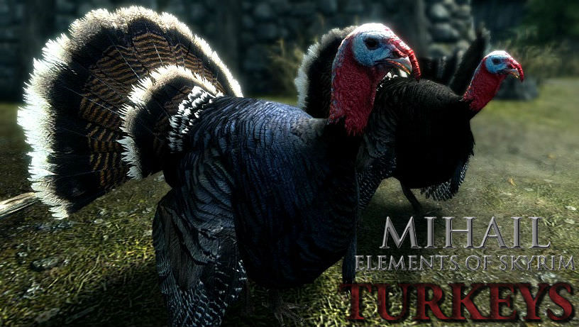 xingkong体育官网登录