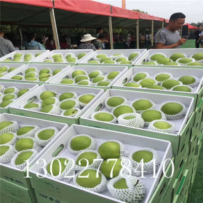 xingkong体育官网登录|2017成都七中育才学校学道分校四年制初中招生简章-成都小升初