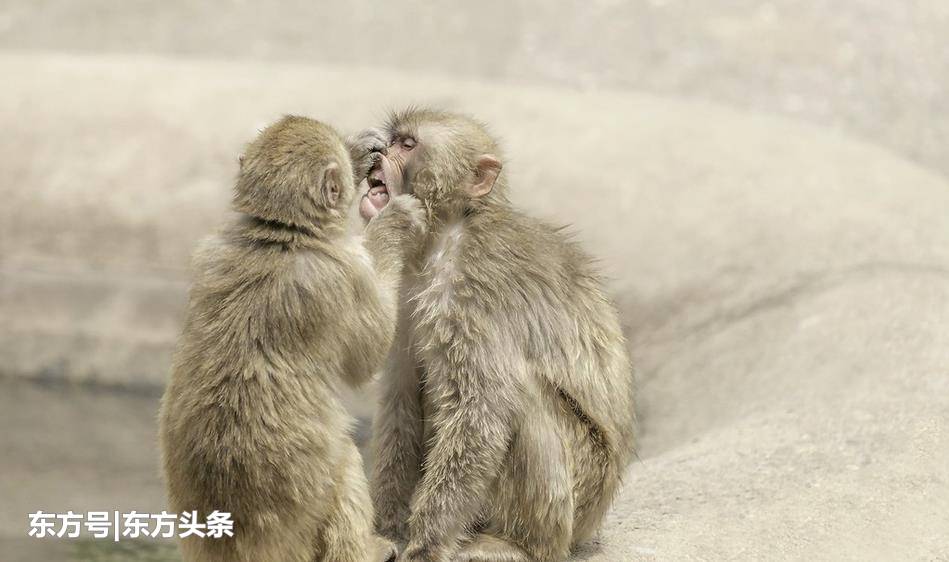 广东陶艺收藏新动向：钦州红泥与窑变工艺作者:冯善书2013-08-1310:05:25来源:南方日报.panel-ove【xingkong体育官网登录】(图2)