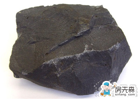 xingkong体育官网登录