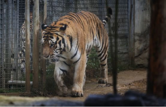 xingkong体育官网登录