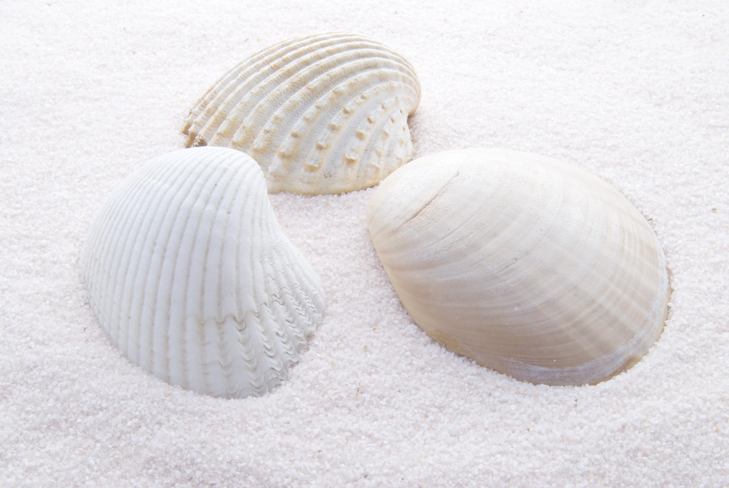 方城县柳河镇西峰学校组织教师进行网上教学技能培训活动:xingkong体育官网登录(图3) xingkong体育官网登录