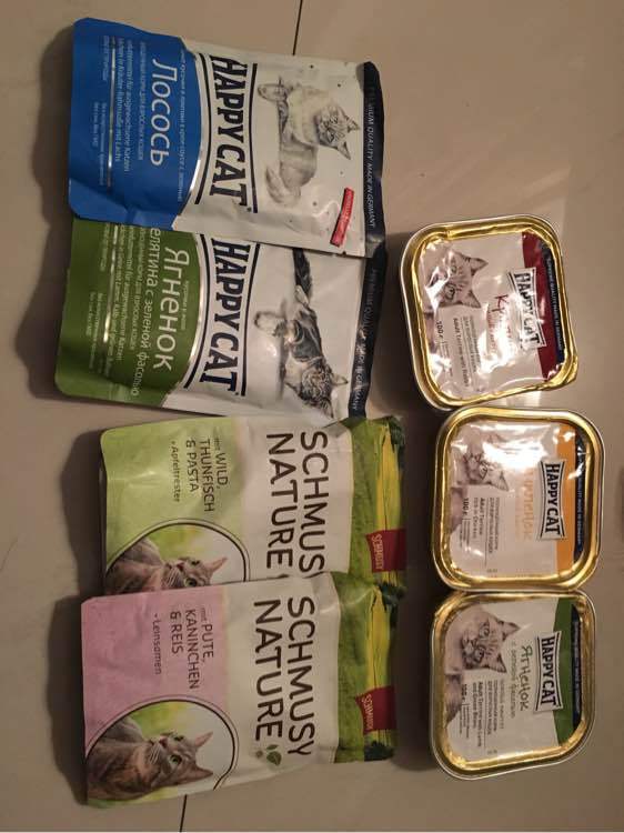 漯河市郾城区武装部部长邵天江到新店镇张店小学检查指导疫情防控工作-xingkong.com(图2) 漯河市郾城区武装部部长邵天江到新店镇张店小学检查指导疫情防控工作-xingkong.com(图2)