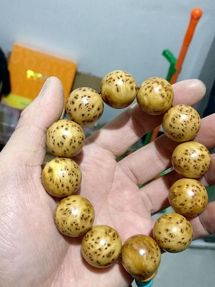 xingkong体育官网登录