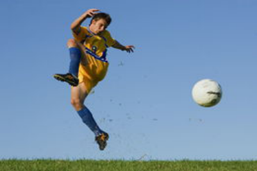 xingkong体育官网登录