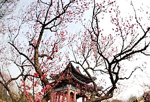 商丘虞城县高中生上街捡垃圾呼唤环保意识_xingkong体育官网登录(图2)