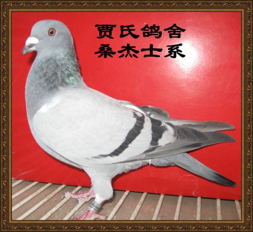 xingkong体育官网登录