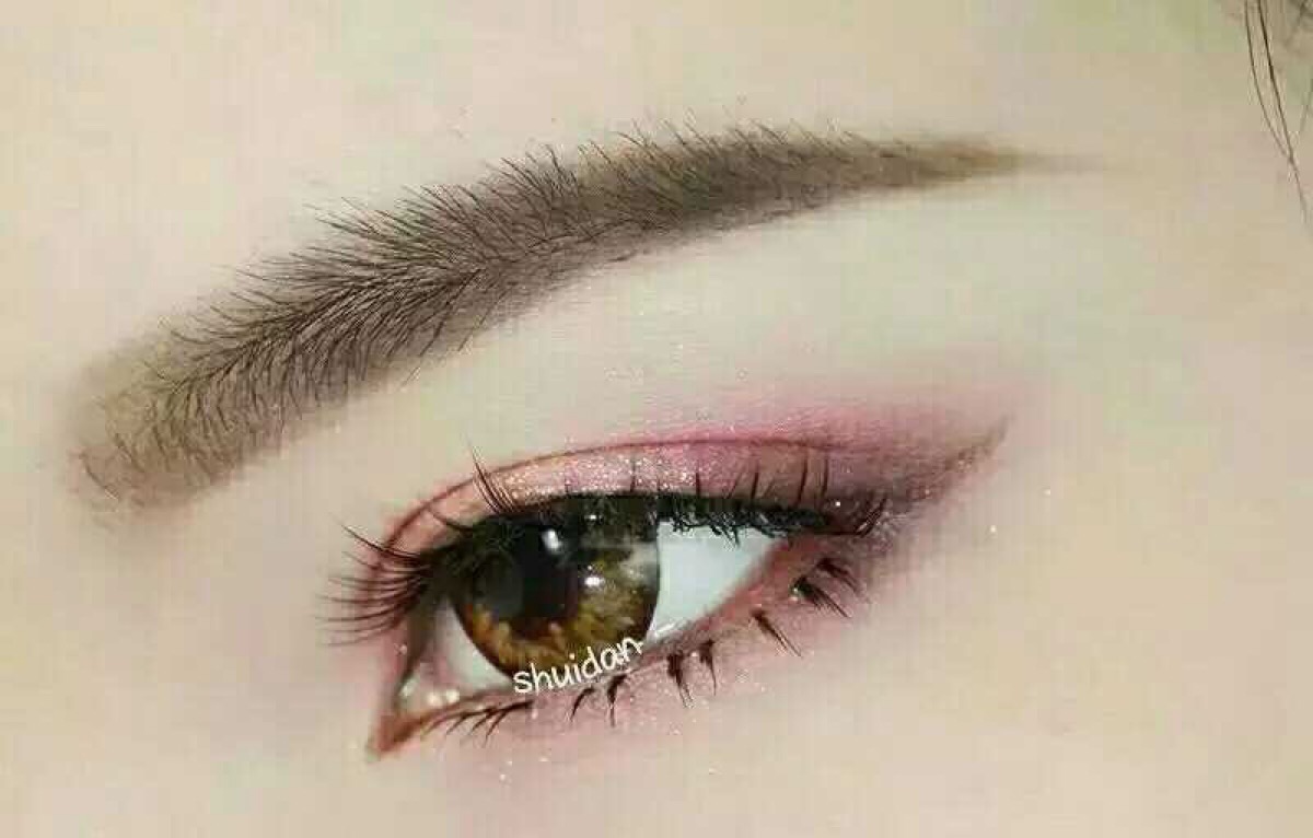 xingkong体育官网登录