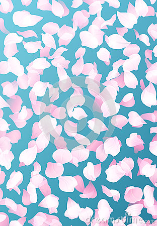 xingkong体育官网登录