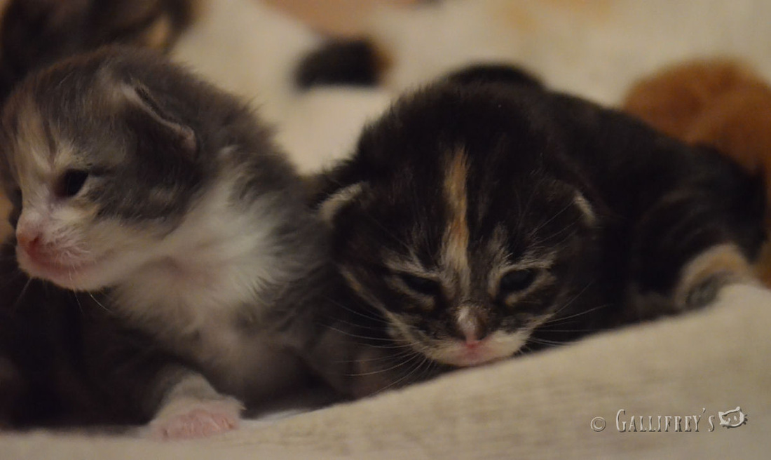 ‘xingkong.com’
人人都是艺术家|书画组获奖名单宣布(图3) ‘xingkong.com’
人人都是艺术家|书画组获奖名单宣布(图3)