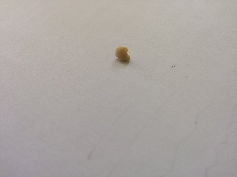 <h1>《浙江文化地图》完成编撰出版|xingkong体育官网登录(图1) xingkong体育官网登录